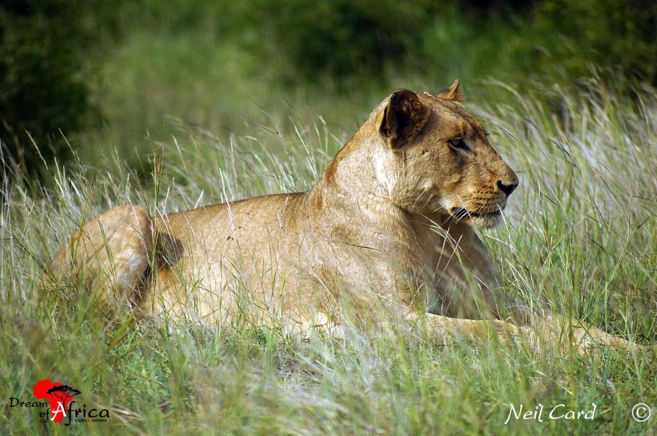 Dream Of Africa Bush Lodge Марлот-Парк Екстер'єр фото